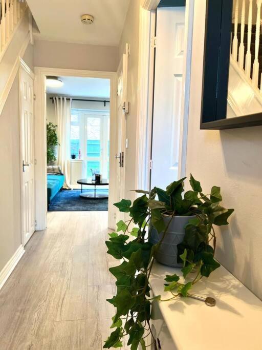 Damson Drive- Boutique Casa vacanze *